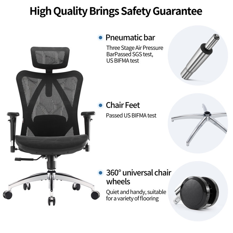 Ebern Designs High Back Ergonomic Mesh Task Chair Big and Tall